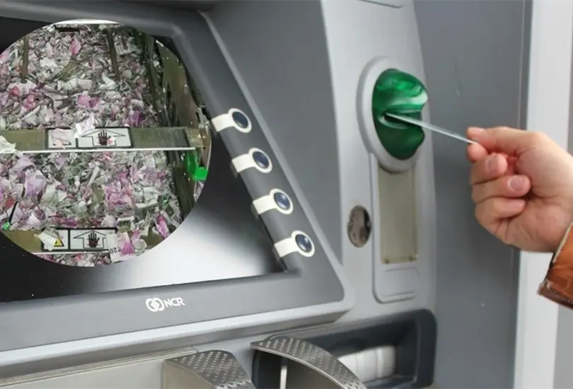 La rata destrozó los billetes que estaban en el cajero. La rata destrozó los billetes que estaban en el cajero.