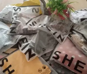 Shein y Temu: ¿por qué son tan baratos y qué piensa AMLO al respecto?