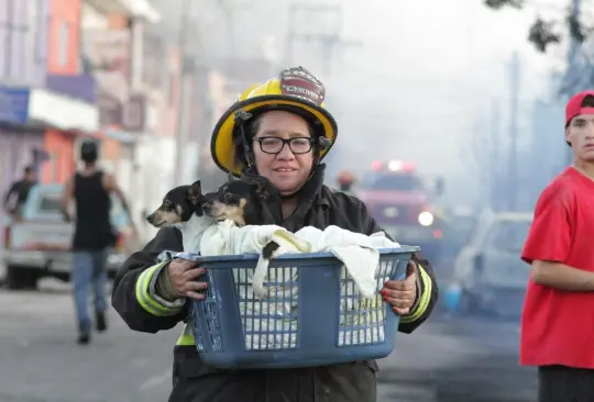Bomberos y policías ayudaron a tlasladando perritos a lugares seguros, durante el incendio provocado por el choque de una pipa de pemex y un tren, en Aguascalientes Bomberos y policías ayudaron a tlasladando perritos a lugares seguros, durante el incendio provocado por el choque de una pipa de pemex y un tren, en Aguascalientes