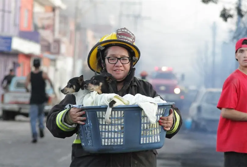 Bomberos y polic&iacute;as ayudaron a tlasladando perritos a lugares seguros, durante el incendio provocado por el choque de una pipa de pemex y un tren, en Aguascalientes
