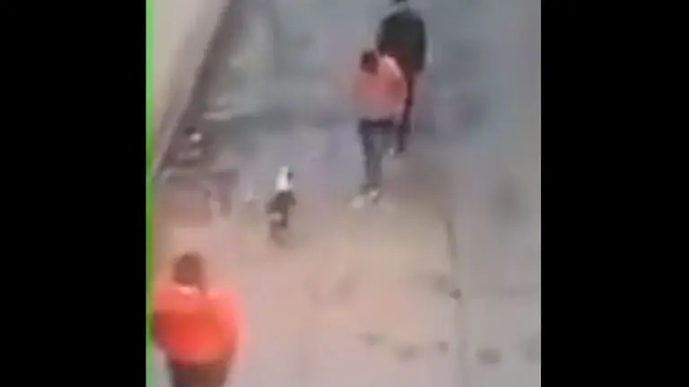 El sujeto golpeó al perrito. Foto: captura de pantalla.