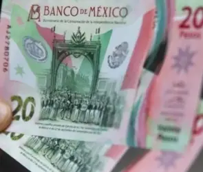 Ofrecen en 500 mil pesos un billete de 20 pesos que tiene un error