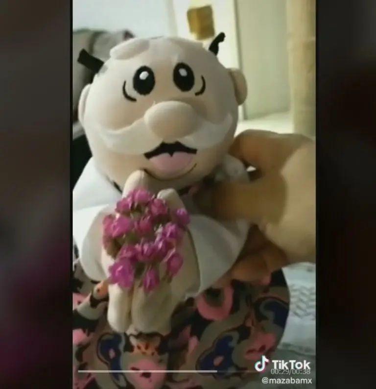 Novia lanza un Simi en lugar de ramo (TikTok)