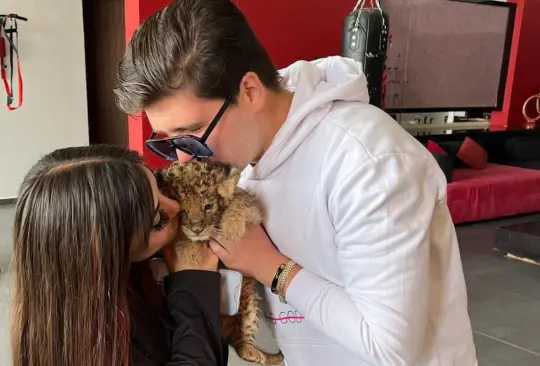 El joven aseguró que regalar animales exóticos es una de sus formas ideales para ligar a una mujer El joven aseguró que regalar animales exóticos es una de sus formas ideales para ligar a una mujer