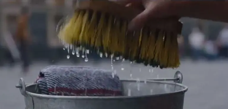 Ahora será un derecho tener Seguro Social para las personas trabajadoras del hogar. Foto: captura de pantalla.