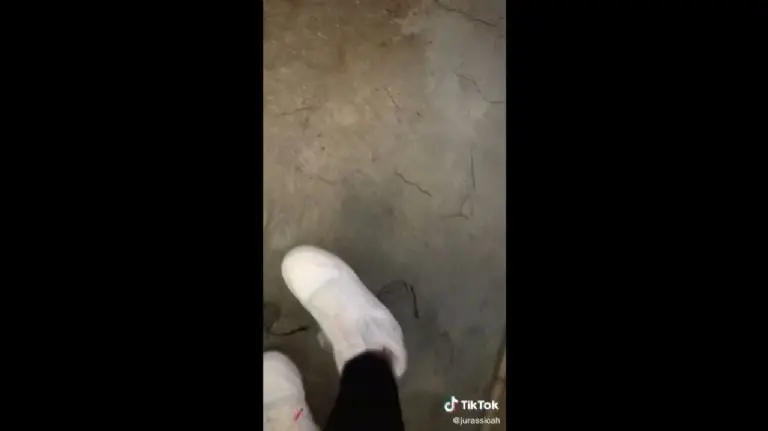La mesera rompió los lentes de la clienta - Tomada de video