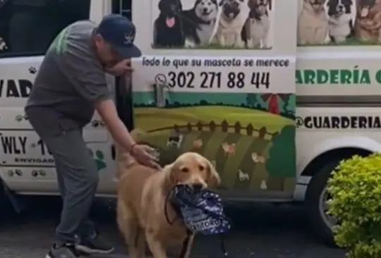 Perrito va a la guardería y nunca olvida su lonchera