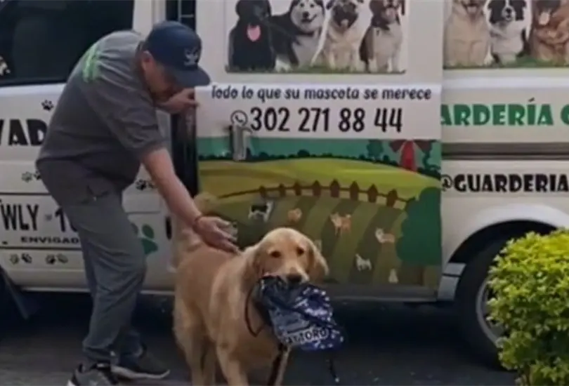 Perrito va a la guarder&iacute;a y nunca olvida su lonchera