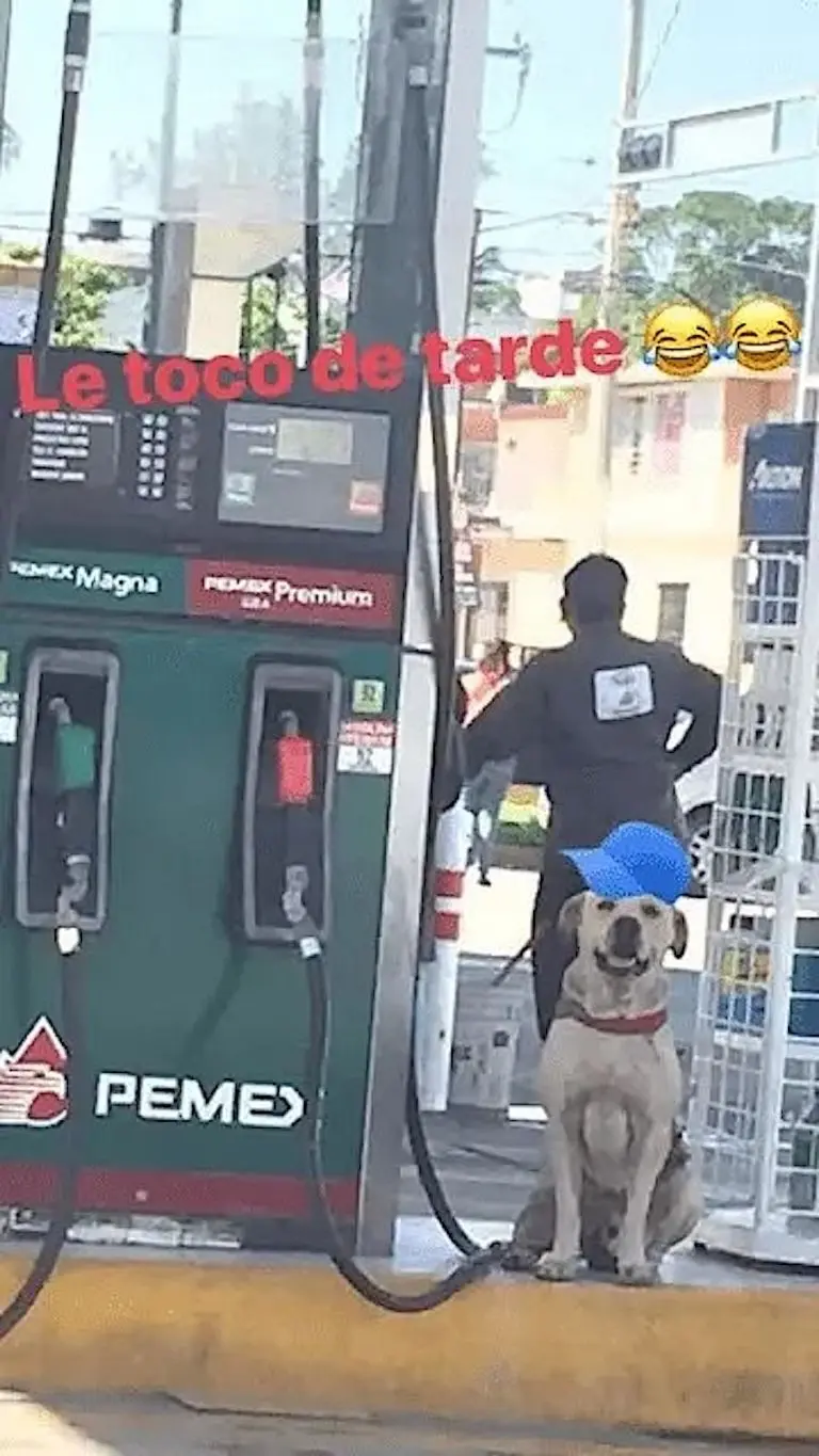 Perrito salva a empleado de un asalto en gasolinera (Facebook)