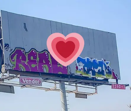 Joven paga anuncio espectacular para poder encontrar novia