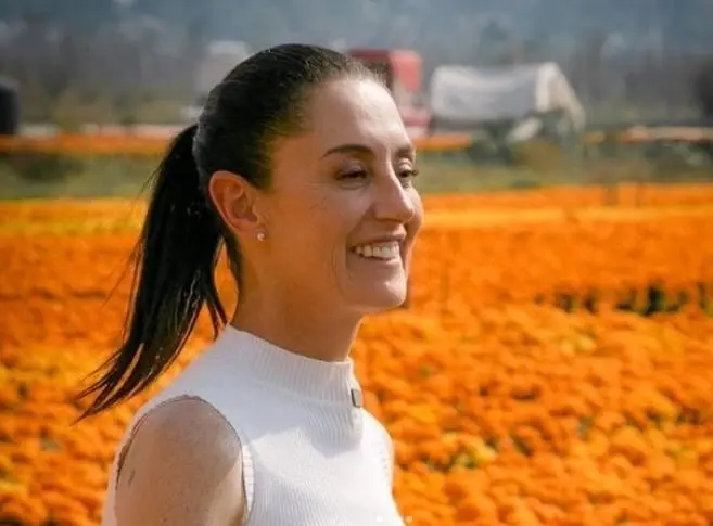 La actual jefa de Gobierno de la Ciudad de M&eacute;xico es una de las posibles candidatas a la Presidencia de M&eacute;xico. Te presentamos algunos datos curiosos que no conoc&iacute;as sobre Claudia Sheinbaum.