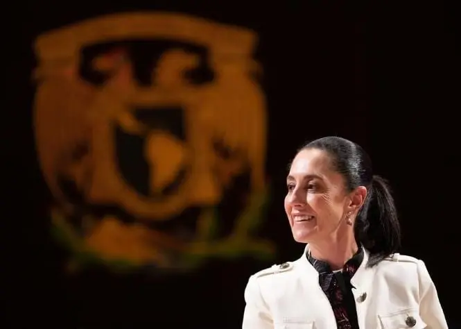 Es licenciada en Física por la Facultad de Ciencias de la Universidad Nacional Autónoma de México (UNAM) e investigadora del Instituto de Ingeniería de la misma institución.