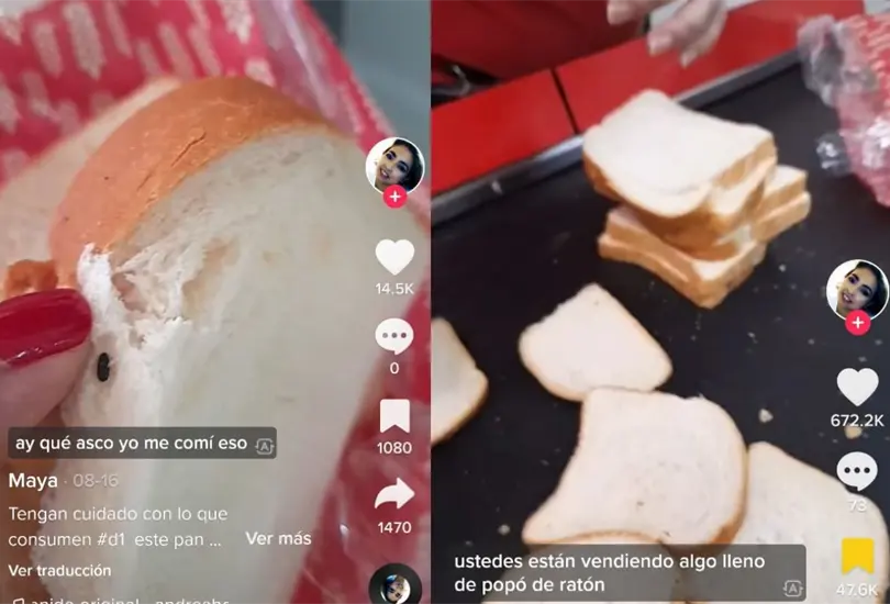 Mujer prepara s&aacute;ndwiches para su hija y se percata de que pan est&aacute; lleno de heces de rat&oacute;n