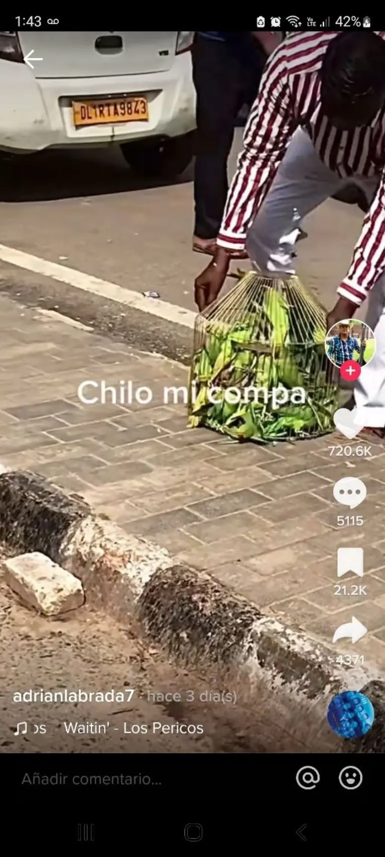 Hombre librea pericos - Tomada de video