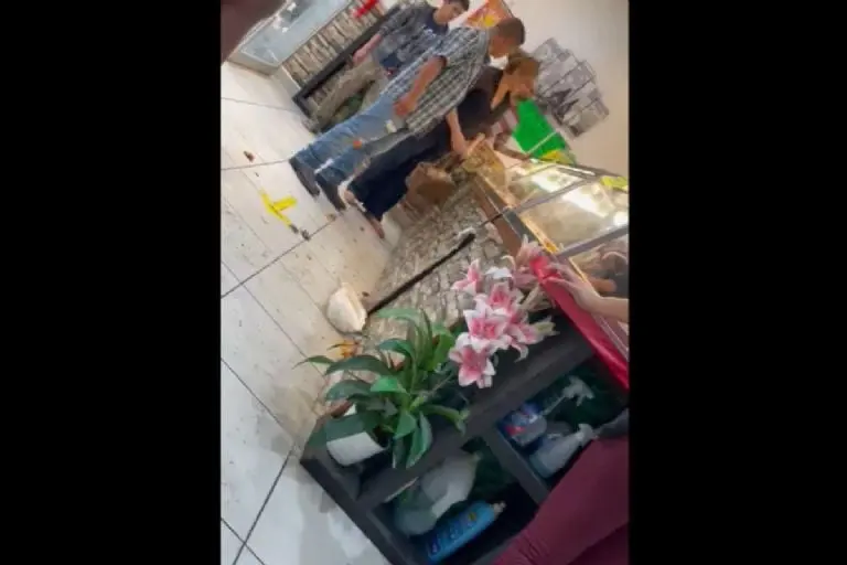 Lady DEA progatoniza pelea - Tomada de video