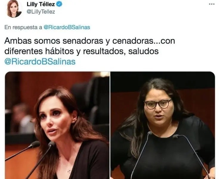 En abril de 2021 fue criticada en redes sociales al denostar a la también senadora Citlalli Hernández por su aspecto físico, compartiendo una imagen y un mensaje dirigido a Ricardo Salinas Pliego: “Ambas somos senadoras y cenadoras... con diferentes hábitos y resultados”. Su afirmación fue calificada de discriminatoria y promotora de violencia contra las mujeres.
