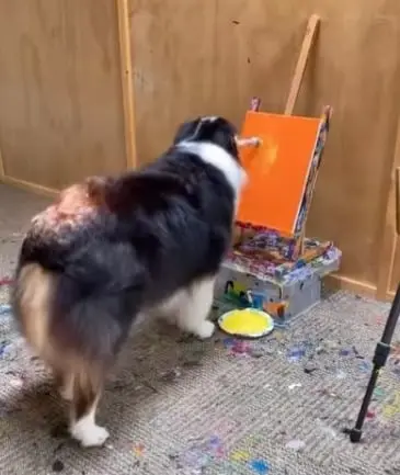 Secret es la perrita m&aacute;s talentosa del internet