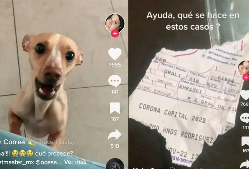 El perrito destrozó el boleto de la joven por lo que pidió ayuda para saber qué hacer en una situación así El perrito destrozó el boleto de la joven por lo que pidió ayuda para saber qué hacer en una situación así