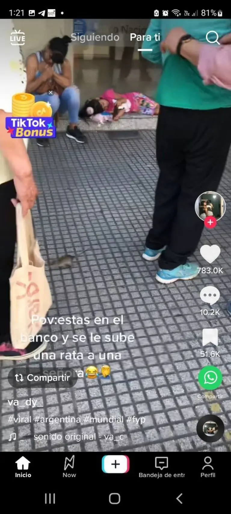 Rata sale de ropa d e aniana - Tomada de video