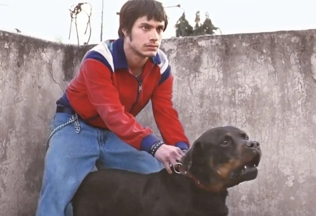 10. Amores Perros