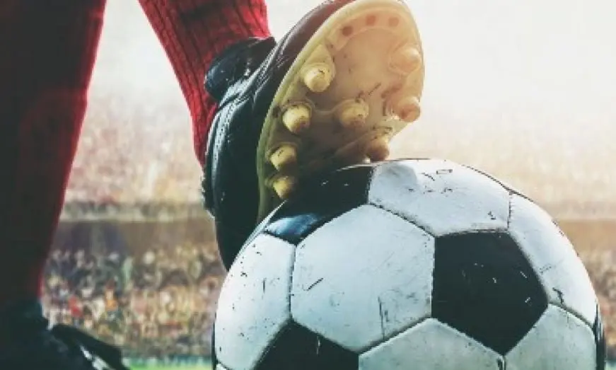 El diseño de la mascota representa generalmente características del país anfitrión, como sus costumbres, vestuario, flora o fauna