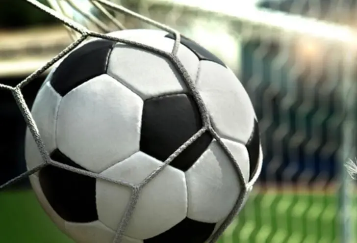 Usualmente, adoptan formas antropomórficas de animales que permitan a la mascota convertirse en juguetes y peluches.