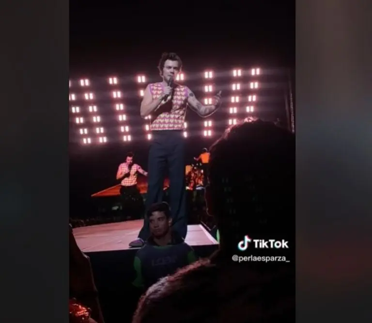 Fan exhibe infidelidad de su papá en el concierto de Harry Styles (TikTok)
