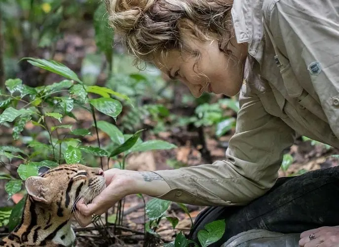 Un soldado británico que regresa de la guerra en Afganistán intenta recuperarse de las secuelas traumáticas en el Amazonas, donde conoce a una científica estadounidense que dirige un centro de rehabilitación y rescate de vida silvestre y juntos acogen a un bebé ocelote huérfano.