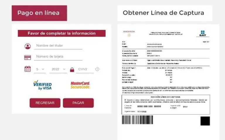 Línea de captura de carta de antecedentes penales. Foto: captura de pantalla.