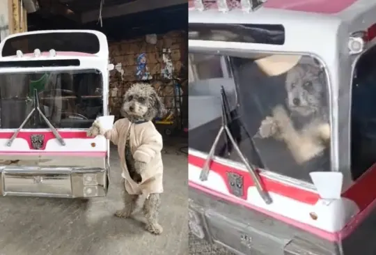 El mini-autobús se creó en el Estado de México y sale a las calles de Teotihuacán Créditos: Captura de pantalla 