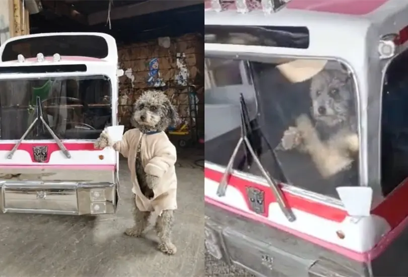 El mini-autob&uacute;s se cre&oacute; en el Estado de M&eacute;xico y sale a las calles de Teotihuac&aacute;n Cr&eacute;ditos: Captura de pantalla 