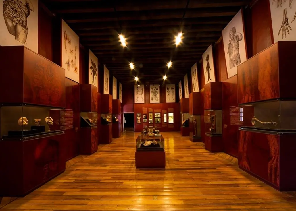Palacio de la Escuela de Medicina | República de Brasil 33, Centro Histórico.
