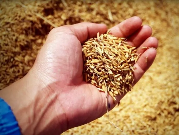 Producción anual: 10,960,000 toneladas.