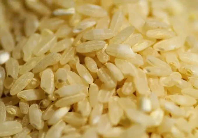 Producción anual: 19,294,856 toneladas.