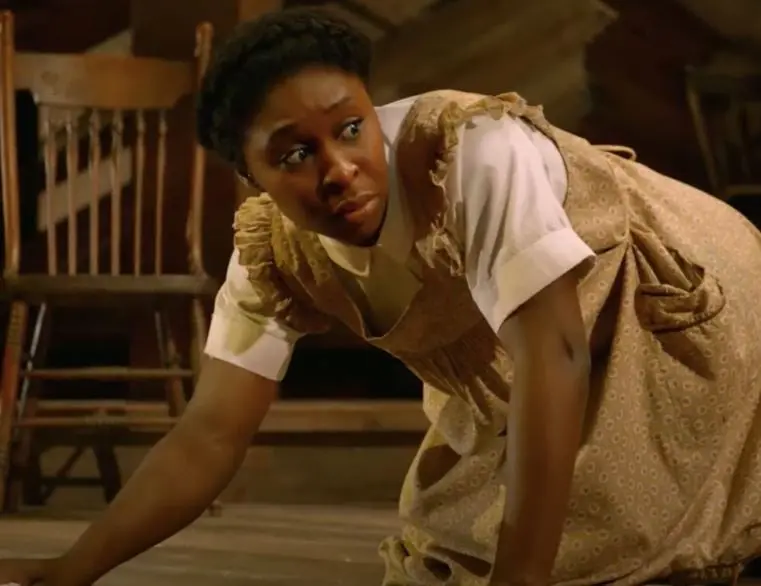 ¿Cuál te interesa más?