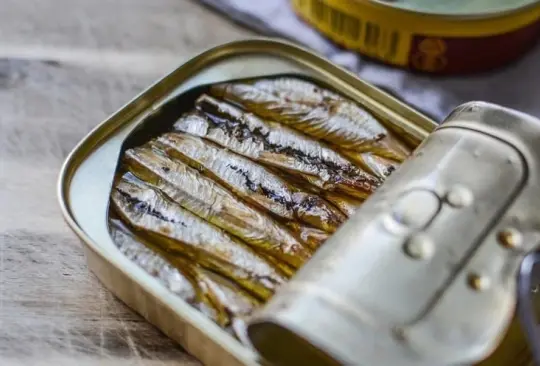 Conoce cuáles son las 7 mejores marcas de sardinas enlatadas según la Profeco Créditos: Especial 