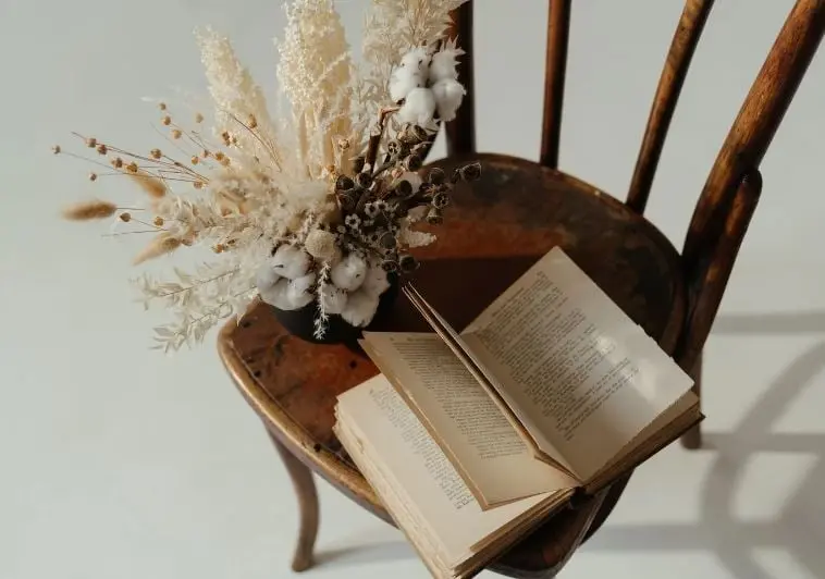 No s&oacute;lo podr&aacute;s entretenerte, tambi&eacute;n aumentar&aacute;s tus conocimientos y ser&aacute;s una persona m&aacute;s culta.