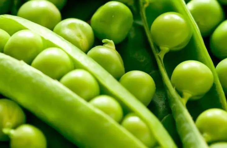 Un análisis realizado por diversos nutriólogos que revisaron estudios como 'Descubriendo el paisaje nutricional de los alimentos', publicado en la revista "PLoS ONE", enlistaron cuáles son los 20 alimentos más nutritivos del mundo; te los presentamos.