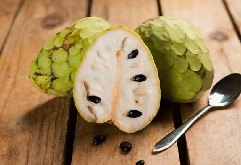 2. Chirimoya