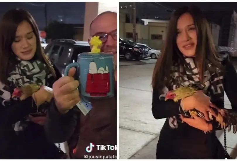 Joven recibe un gallo en el intercambio