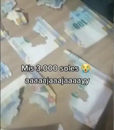 VIDEO Rata se comió alrededor de 15 mil pesos en billetes ahorrados por una señora