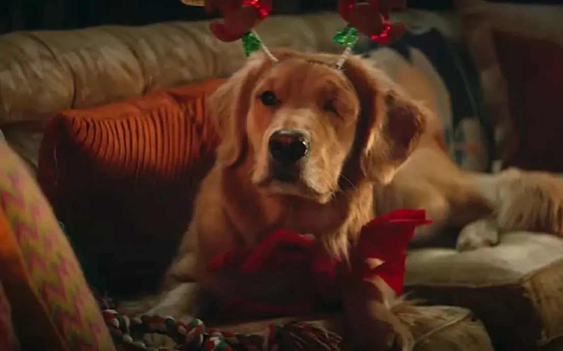 En medio de un ambiente navideño, Clint Barton y Kate Bishop disparan flechas mientras evitan convertirse ellos mismos en el blanco cuando la situación cambia.