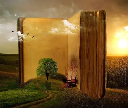 ¿Qué tiene de positivo el derecho a la educación?