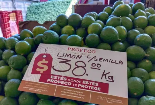 ¡Atención! Profeco informa dónde comprar el limón más barato