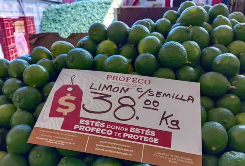¡Atención! Profeco informa dónde comprar el limón más barato ¡Atención! Profeco informa dónde comprar el limón más barato