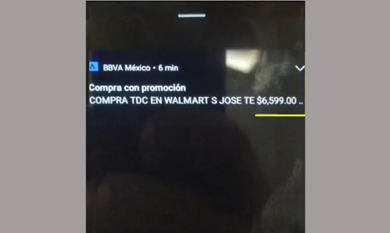 Arrestan a dos policías por irse de compras con la tarjeta de una persona detenida - Quinto Poder
