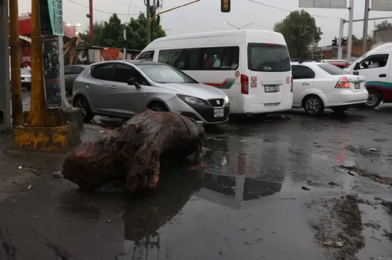 Tirar basura en Ecatepec ya se castiga con arresto o multa; van 30 detenidos - Cristian Hernández (Cuartoscuro)