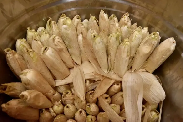 ¿Cuál es el origen del Día de la Candelaria y por qué se hacen tamales? - (Cuartoscuro)