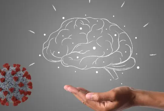 Especialistas destacaron que el principal afectado sería el sentido del olfato. Especialistas destacaron que el principal afectado sería el sentido del olfato.