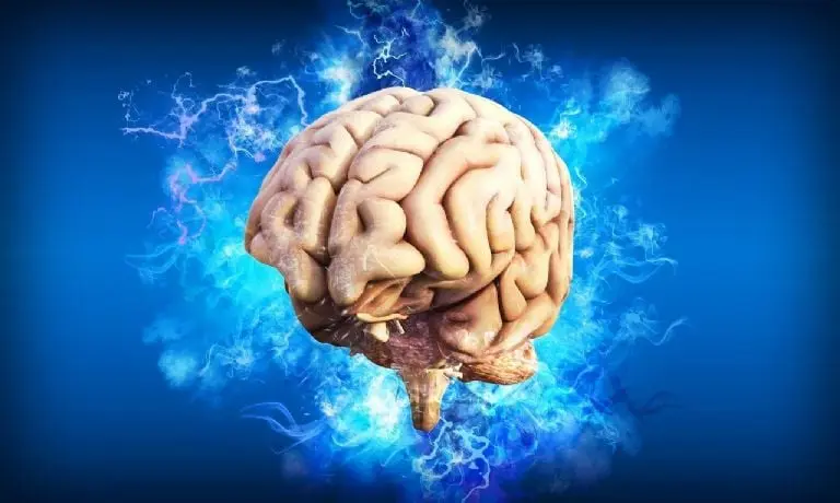 Especialistas desconocen si los daños en el cerebro son provocados por el virus o por la infección. FOTO: Pixabay